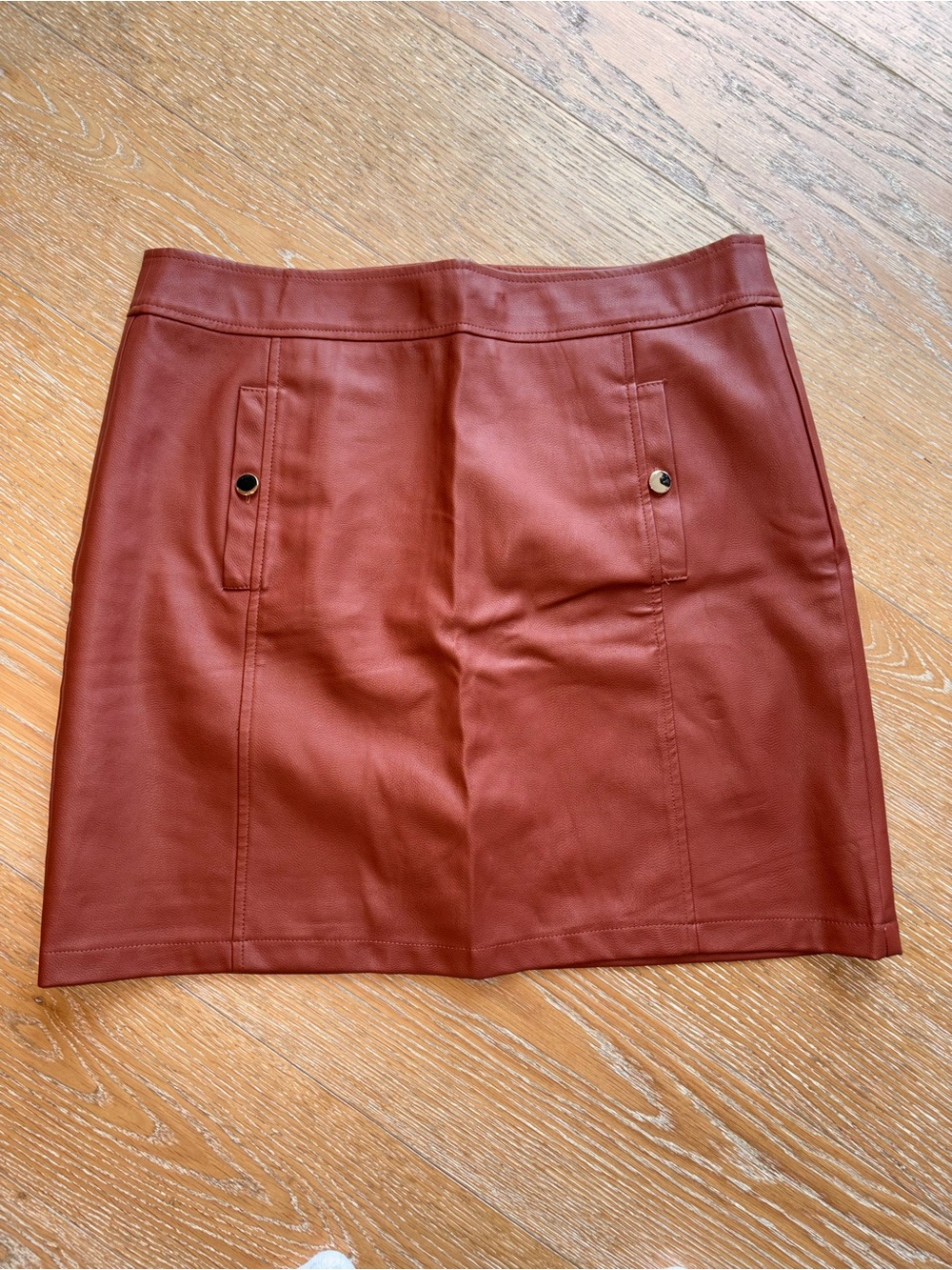 Loft Faux Leather Mini Skirt in Brick Red